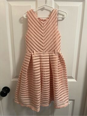 Nannette Blush Pink Lace Fit-and-Flare Party Dress